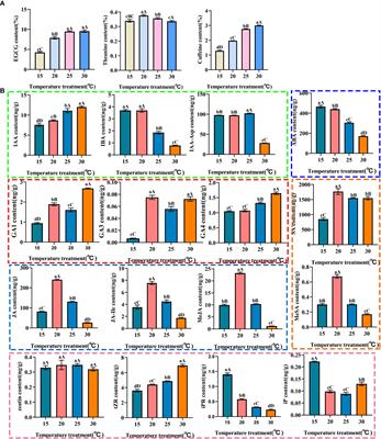 The biosynthesis of EGCG, theanine and caffeine in response to temperature is mediated by hormone signal transduction factors in tea plant (Camellia sinensis L.)